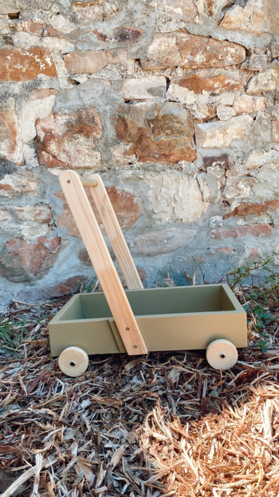 Toddler Walker