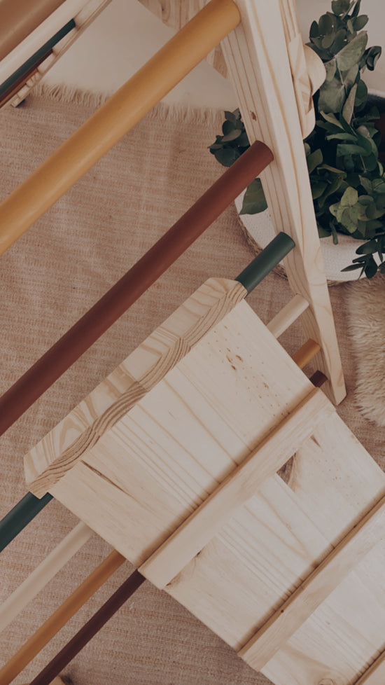 Reversible Ramp and Slide