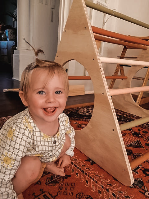 Pikler Triangle