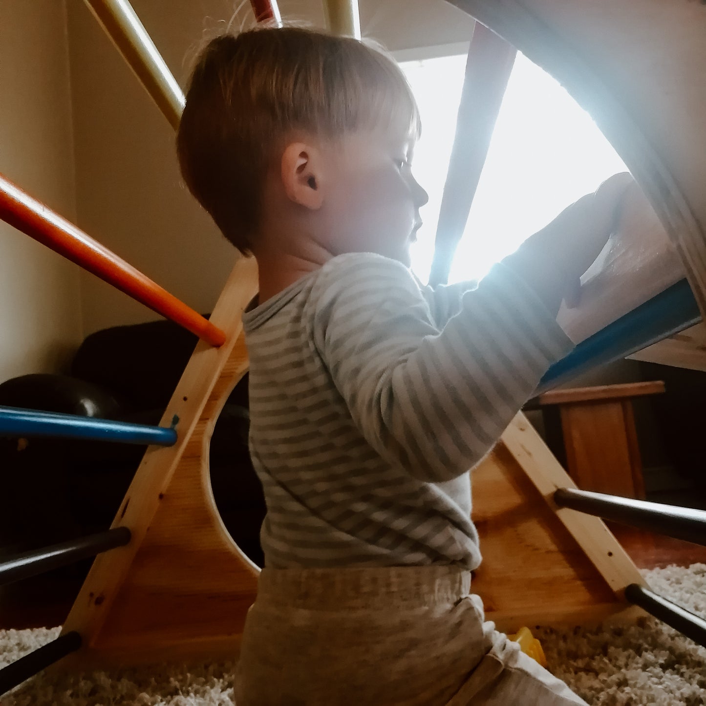 Pikler Triangle