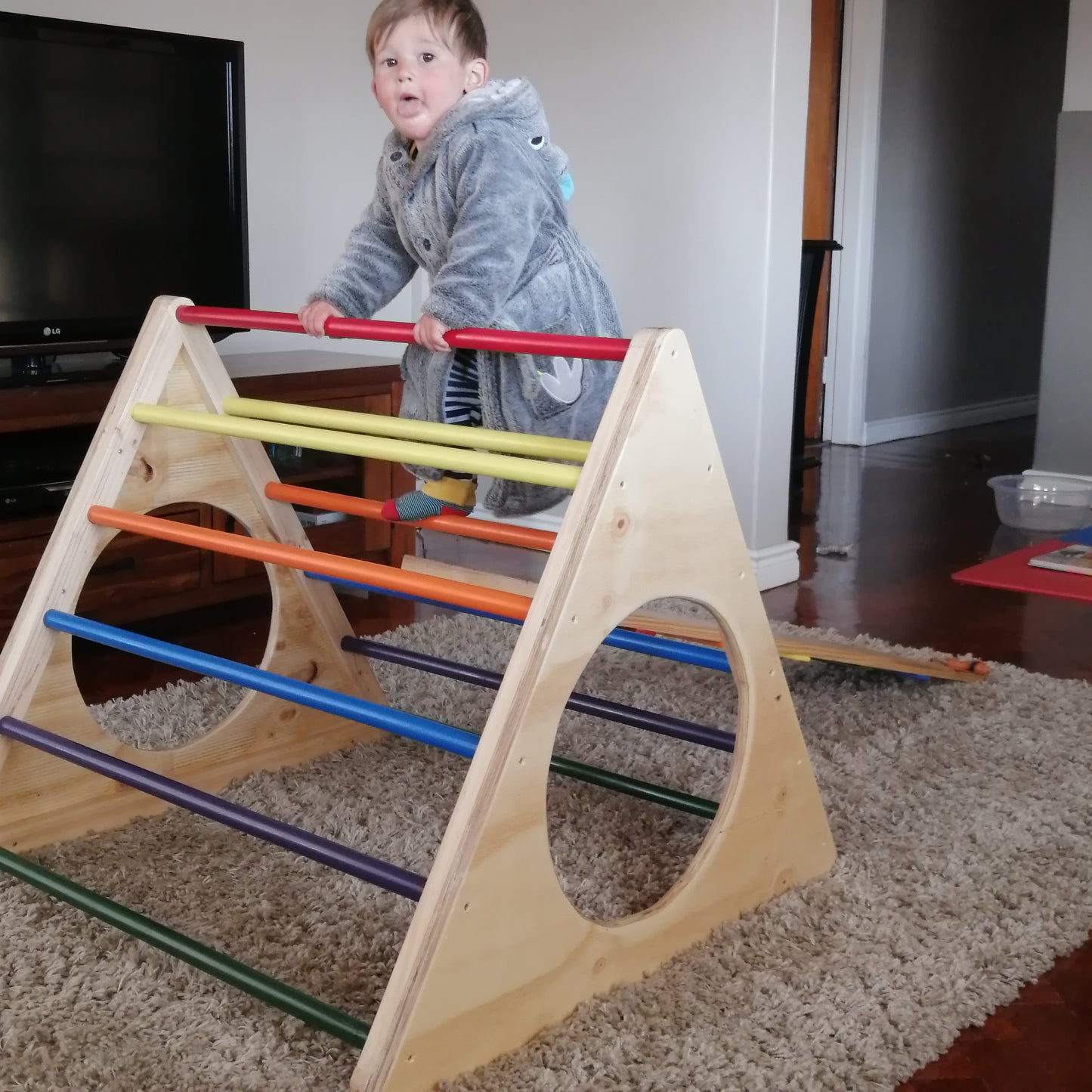 Pikler Triangle