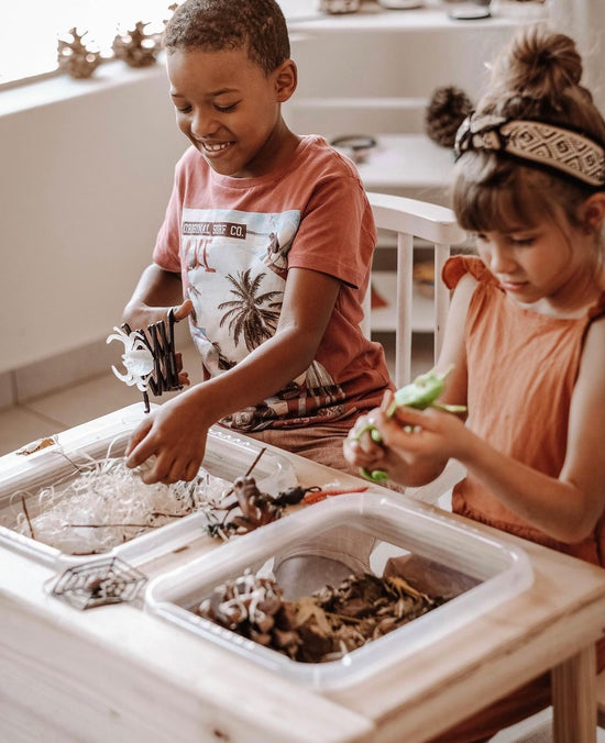 Sensory Table