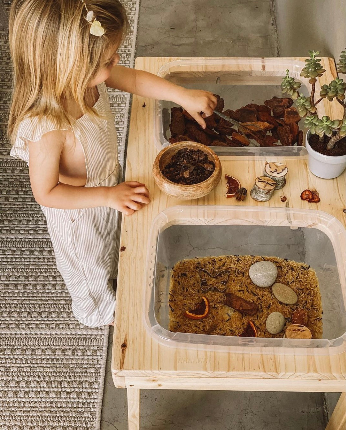 Sensory Table