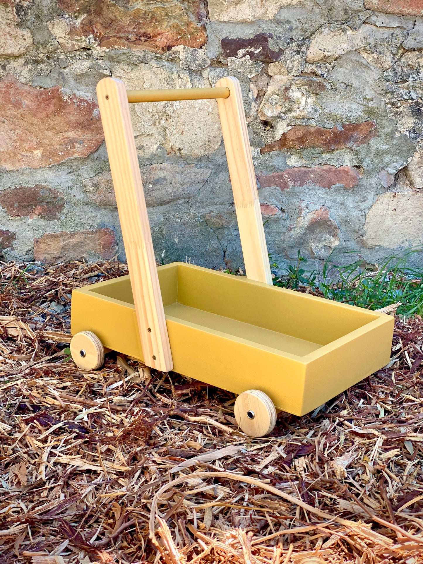 Toddler Walker