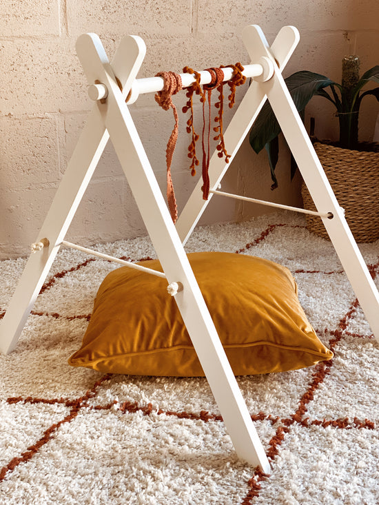 Baby Play Gym
