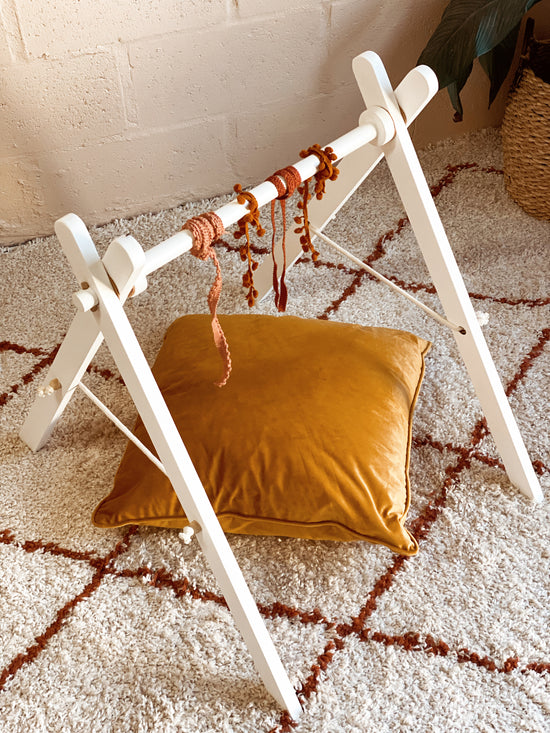 Baby Play Gym