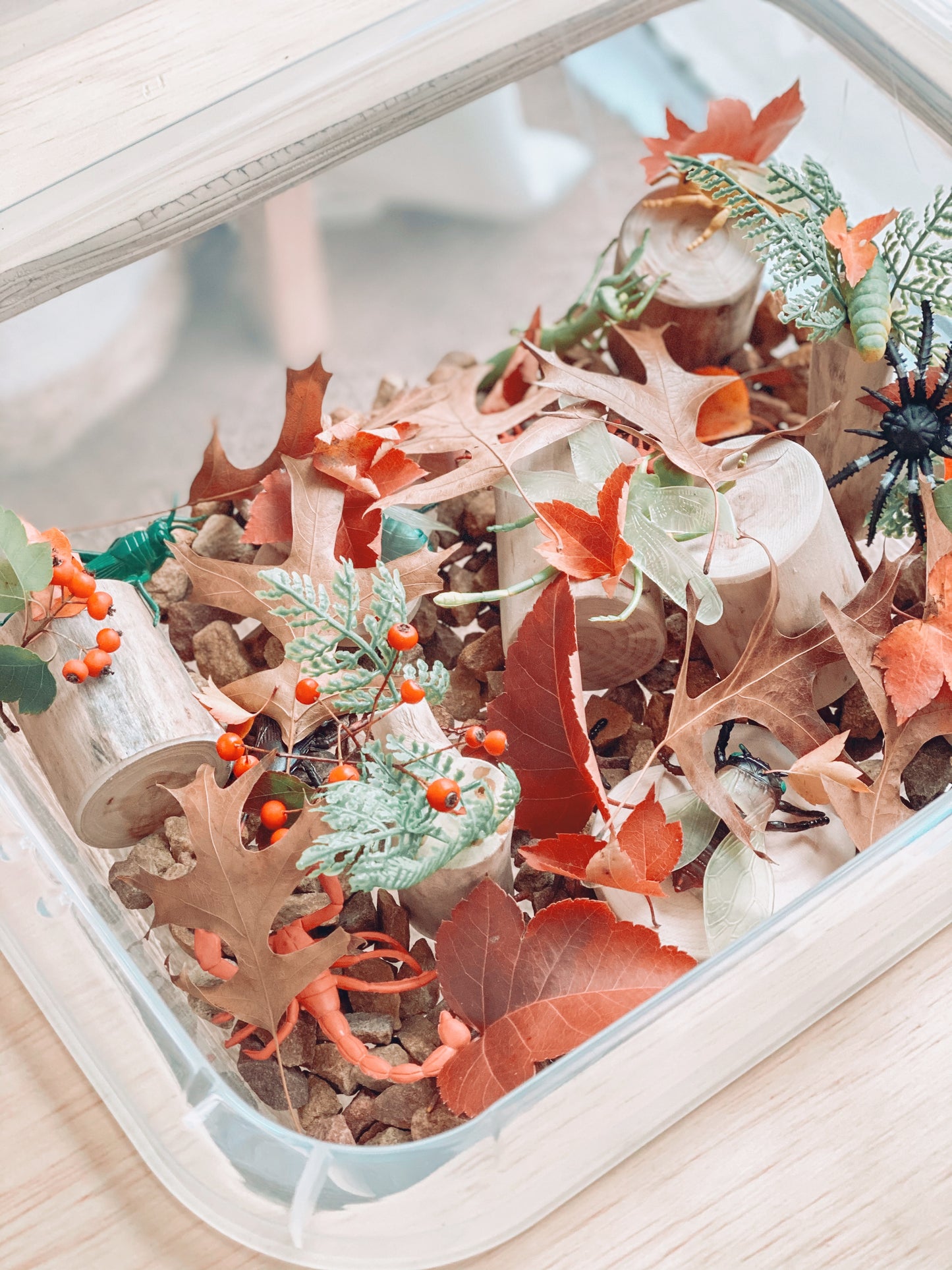 Sensory Table